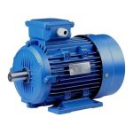 12. ELECTRIC MOTORS